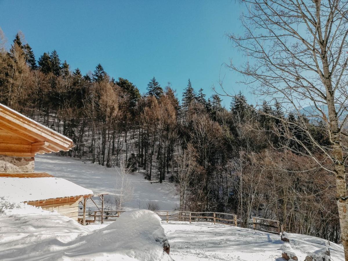 Villa Odomi Maso Nel Bosco Sant'Orsola Exterior foto