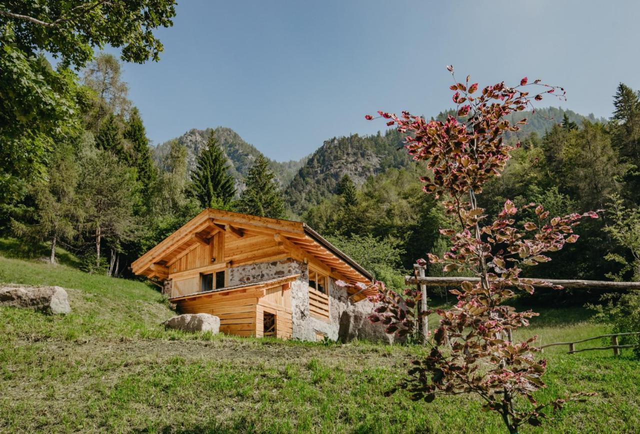 Villa Odomi Maso Nel Bosco Sant'Orsola Exterior foto