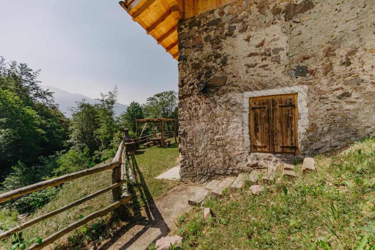 Villa Odomi Maso Nel Bosco Sant'Orsola Exterior foto